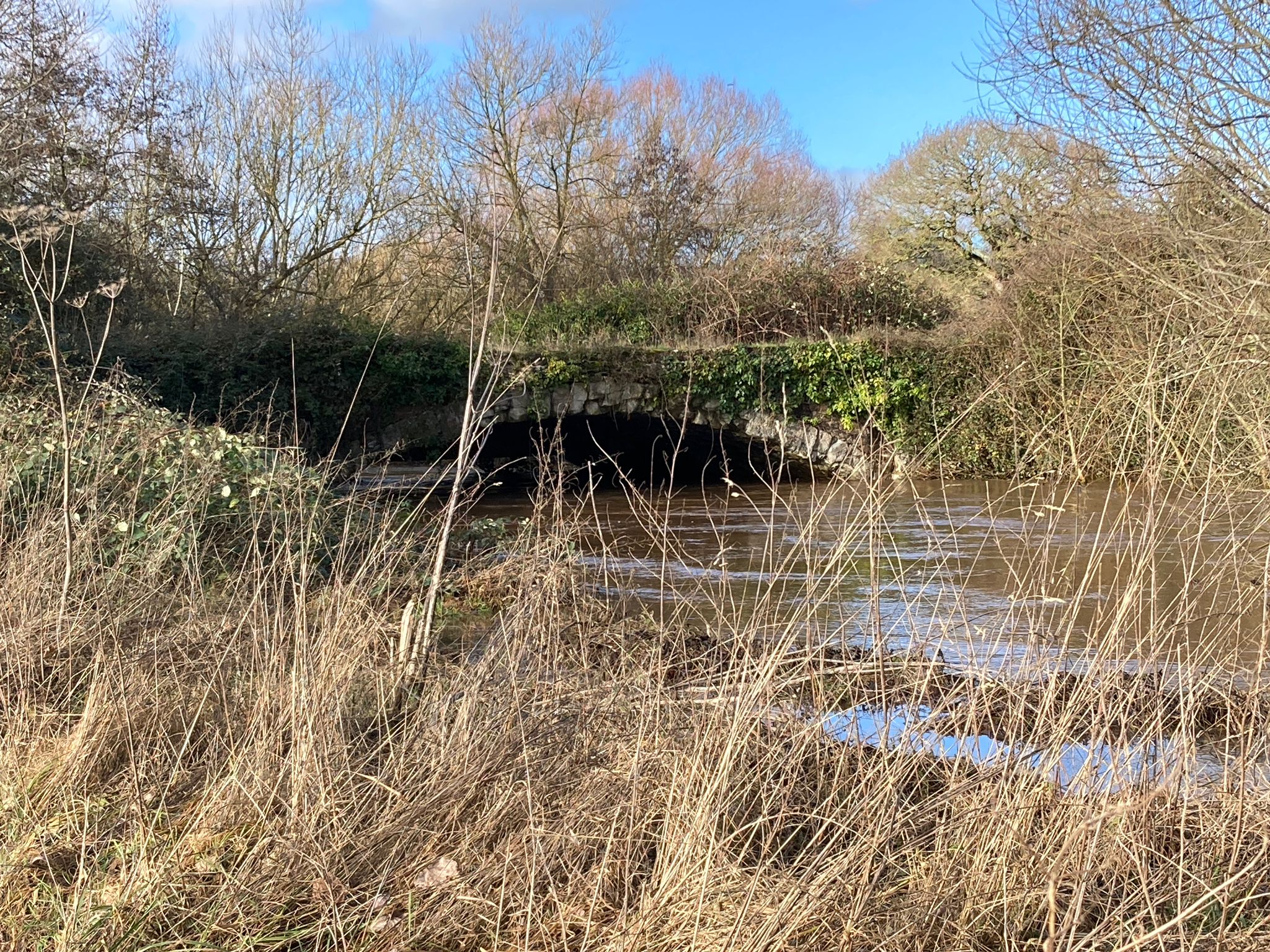 Greenway Update