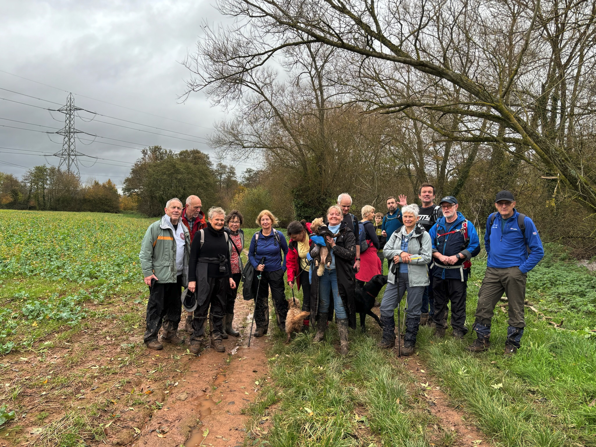 Greenway news